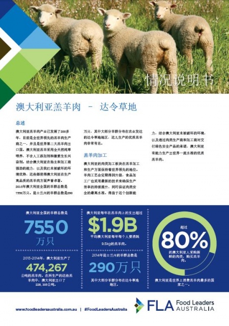 Lamb Fact Sheet - Chinese