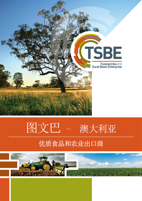 Export Capability Brochure - Chinese